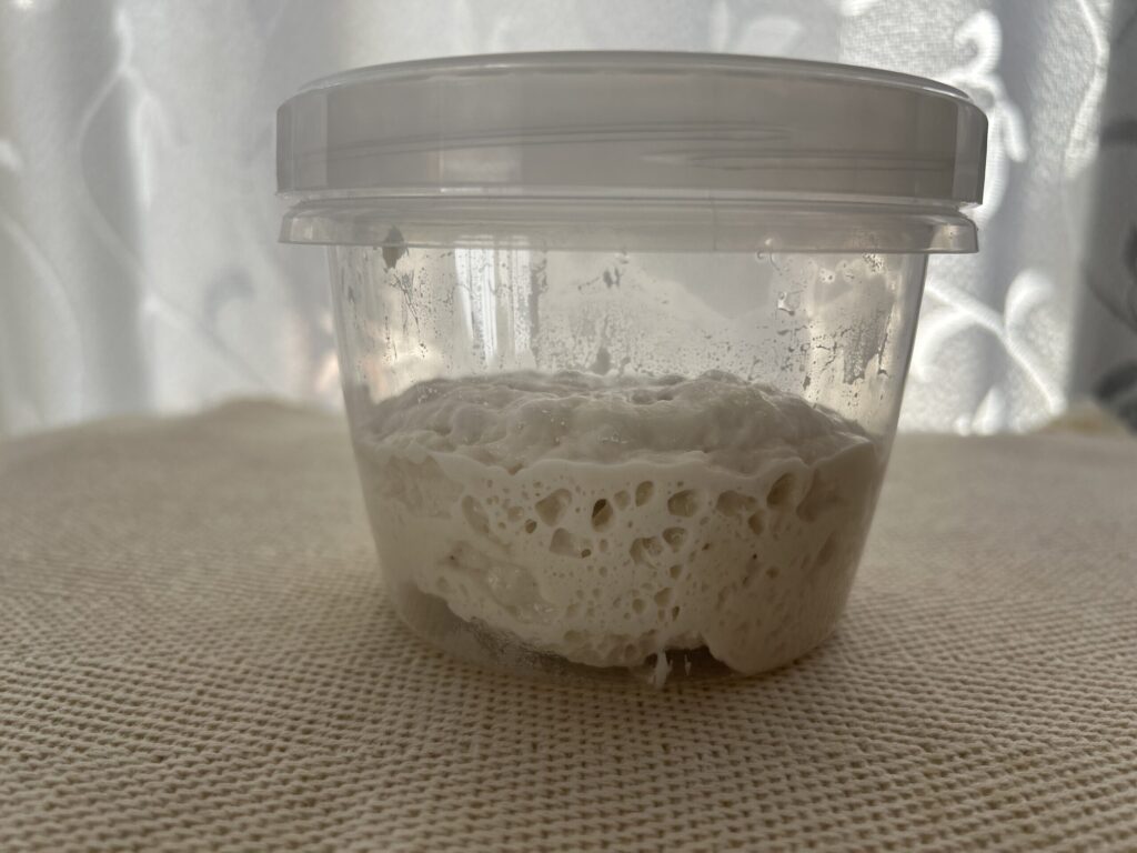 先生から分けてもらった自家製酵母ルヴァン