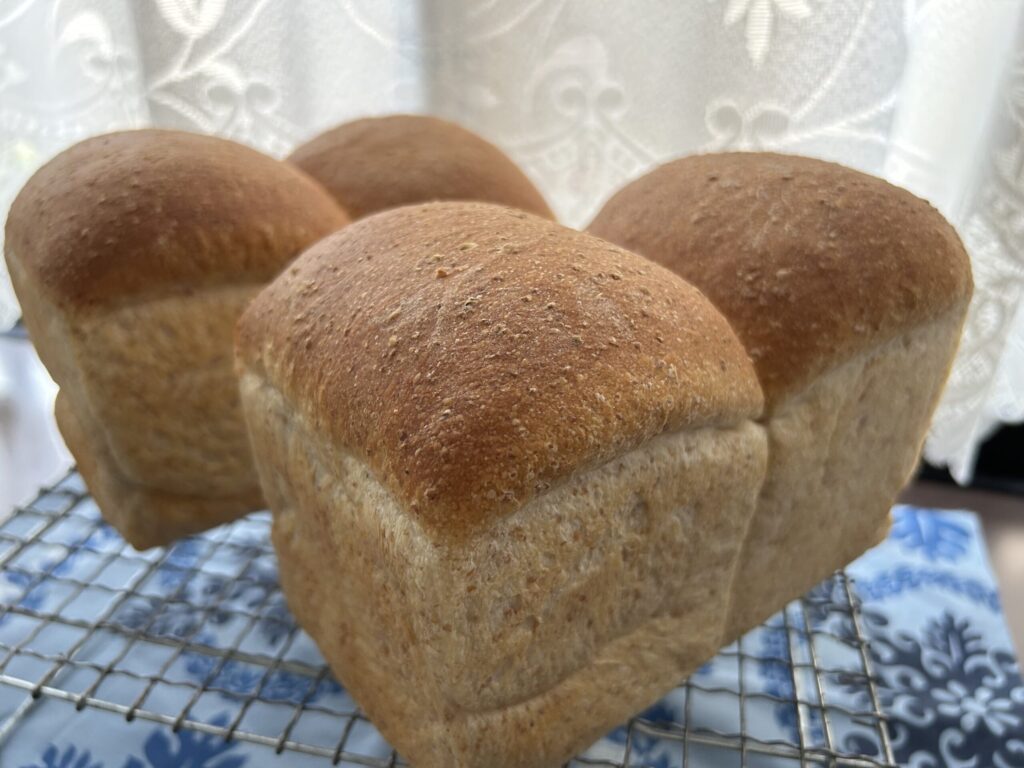 自家製酵母で焼いたグラハム食パン