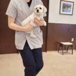 犬の僧帽弁閉鎖不全症手術から退院｜術後の様子と注意点まとめ【体験記】