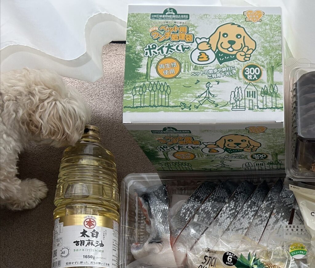 我家の可愛いマルプー