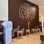 犬の僧帽弁閉鎖不全症（MMVD）手術体験記｜JASMINEどうぶつ循環器病センターで無事終了